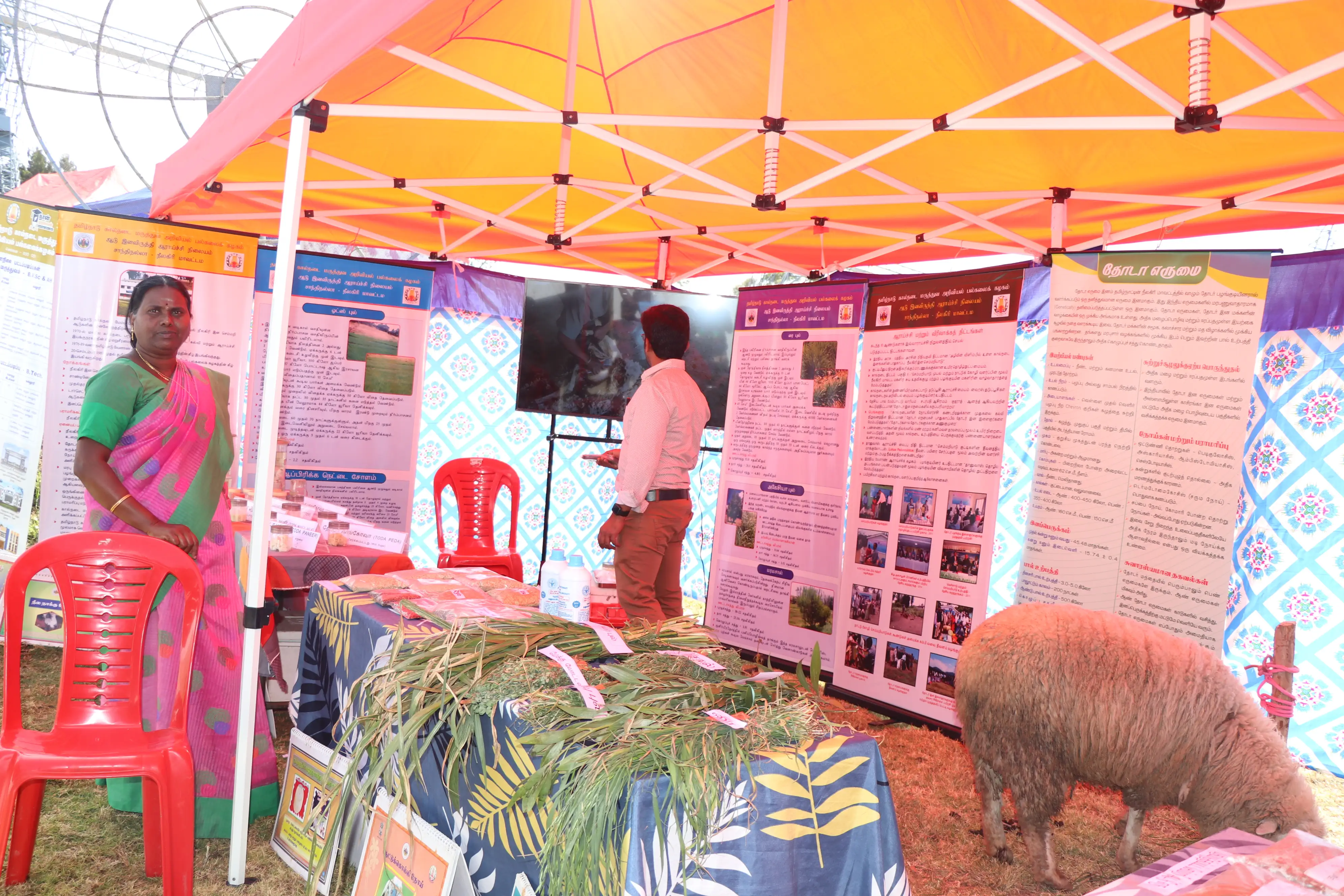 National Science Day - 2025